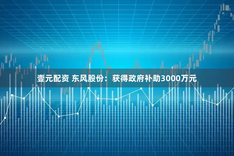 壹元配资 东风股份：获得政府补助3000万元