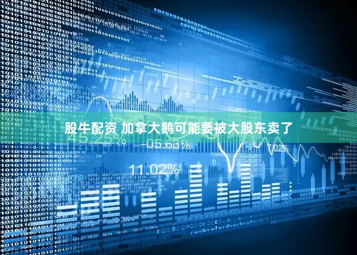 股牛配资 加拿大鹅可能要被大股东卖了