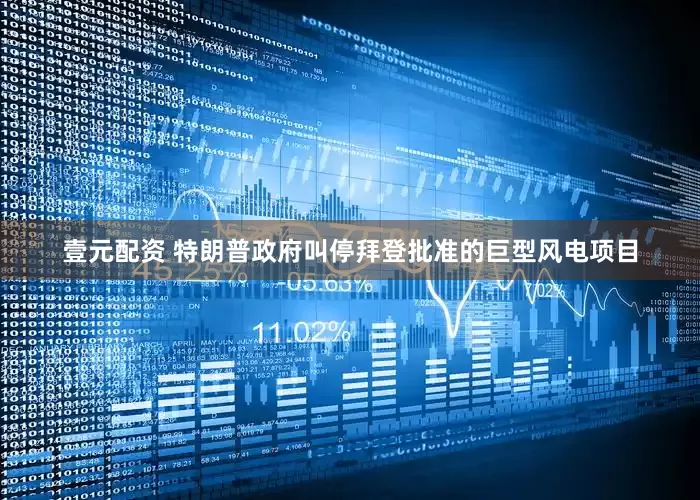 壹元配资 特朗普政府叫停拜登批准的巨型风电项目