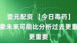 壹元配资 【今日毒药】想象未来可能比分析过去更重要