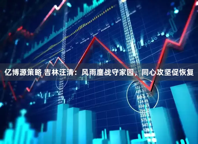亿博源策略 吉林汪清：风雨鏖战守家园，同心攻坚促恢复